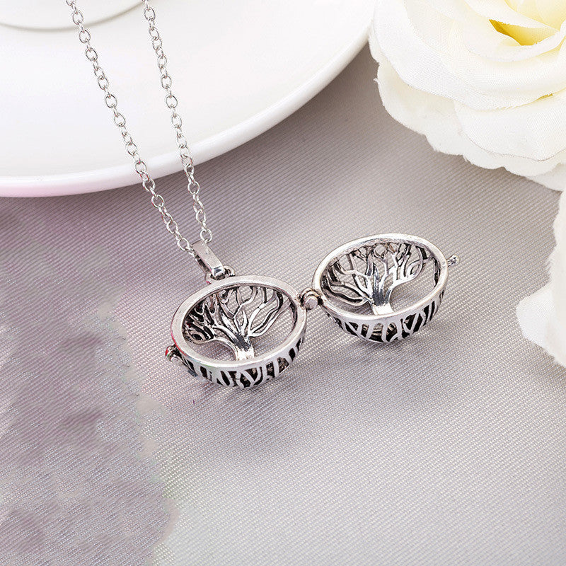 Collier Diffuseur Huiles Essentielles - Médaillon Photo